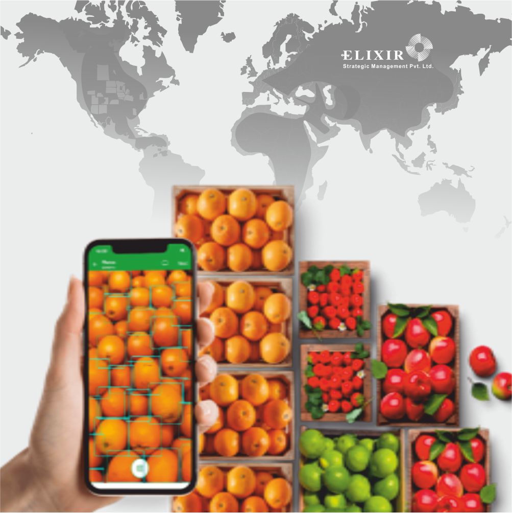 Fruits Quality Detection